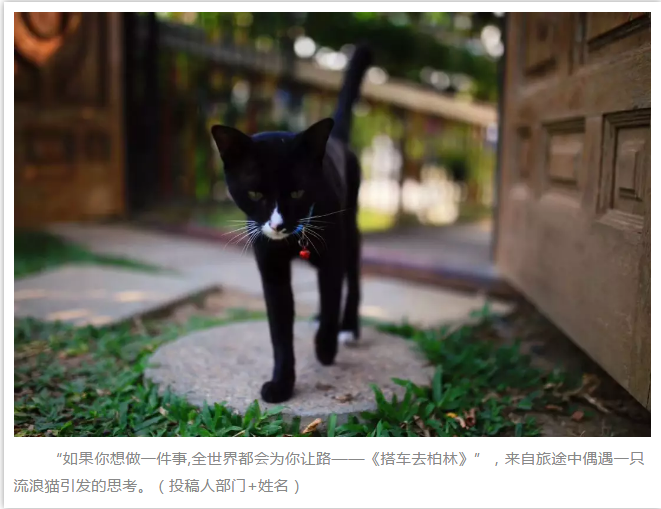 安博电竞(中国区)官方网站-专业电子竞技娱平台